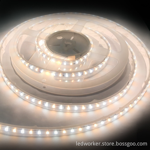 Bicolor Dual White LED Strip 2700-6500K CCT 2835LED Two Color LED Strip Light
